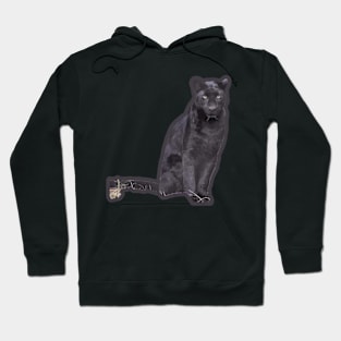 Black Leopard Hoodie